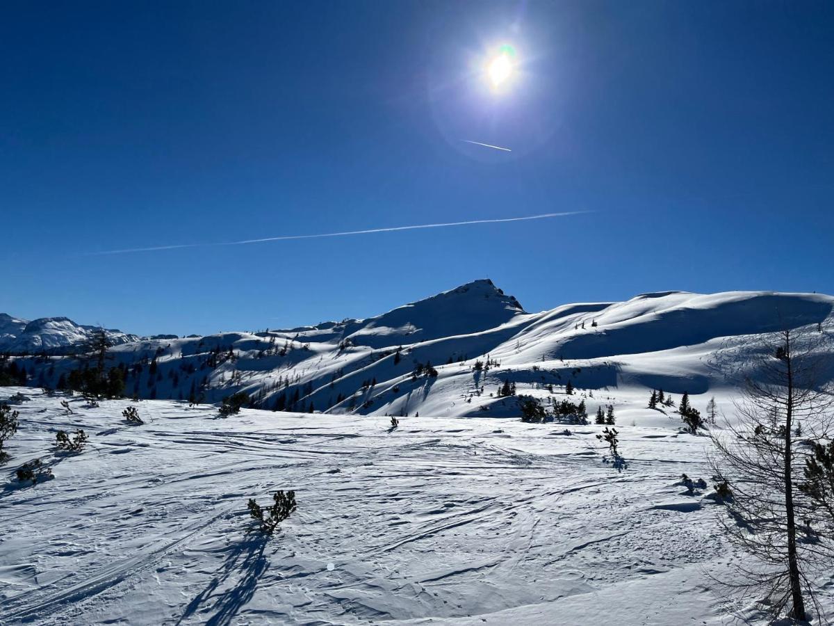 Alpium - Luxusappartements Flachau Eksteriør billede